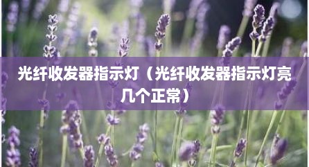光纤收发器指示灯（光纤收发器指示灯亮几个正常）