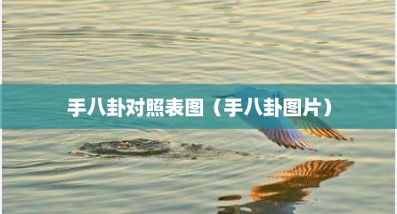 手八卦对照表图（手八卦图片）