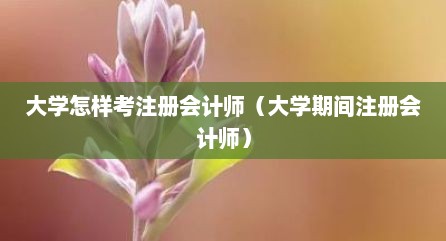 大学怎样考注册会计师（大学期间注册会计师）