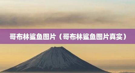哥布林鲨鱼图片（哥布林鲨鱼图片真实）