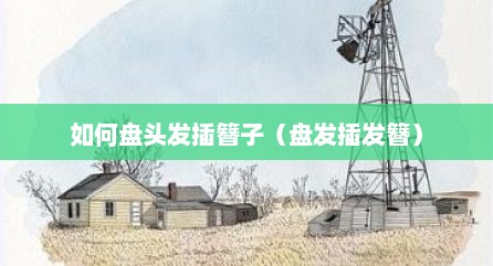 如何盘头发插簪子（盘发插发簪）
