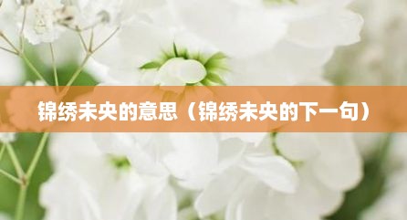 锦绣未央的意思（锦绣未央的下一句）