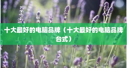 十大最好的电脑品牌（十大最好的电脑品牌台式）