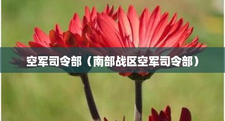 空军司令部（南部战区空军司令部）