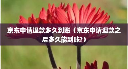 京东申请退款多久到账（京东申请退款之后多久能到账?）