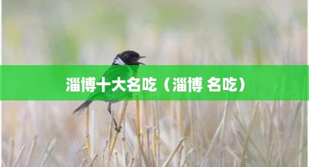 淄博十大名吃（淄博 名吃）