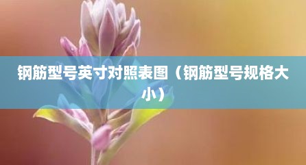 钢筋型号英寸对照表图（钢筋型号规格大小）