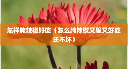 怎样腌辣椒好吃（怎么腌辣椒又脆又好吃还不坏）