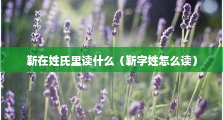靳在姓氏里读什么（靳字姓怎么读）