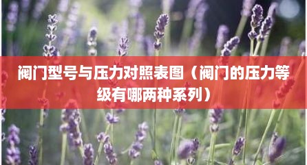 阀门型号与压力对照表图（阀门的压力等级有哪两种系列）