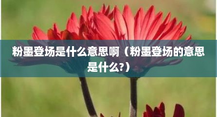 粉墨登场是什么意思啊（粉墨登场的意思是什么?）