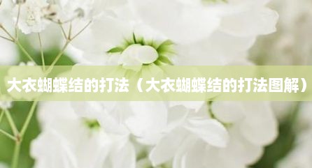 大衣蝴蝶结的打法（大衣蝴蝶结的打法图解）