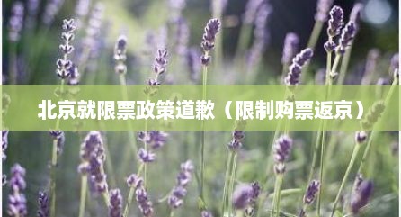 北京就限票政策道歉（限制购票返京）