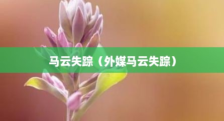 马云失踪（外媒马云失踪）