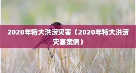 2020年特大洪涝灾害（2020年特大洪涝灾害案例）