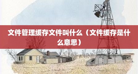 文件管理缓存文件叫什么（文件缓存是什么意思）
