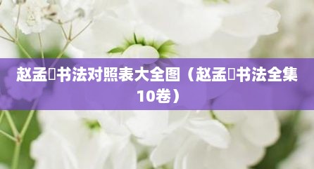赵孟頫书法对照表大全图（赵孟頫书法全集10卷）