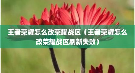 王者荣耀怎么改荣耀战区（王者荣耀怎么改荣耀战区刷新失败）