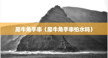 犀牛角手串（犀牛角手串怕水吗）