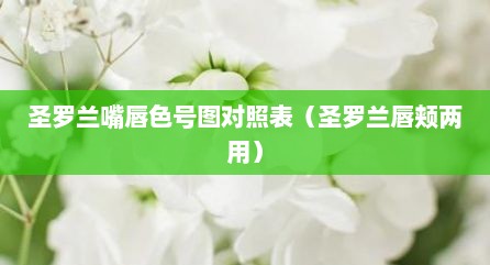圣罗兰嘴唇色号图对照表（圣罗兰唇颊两用）