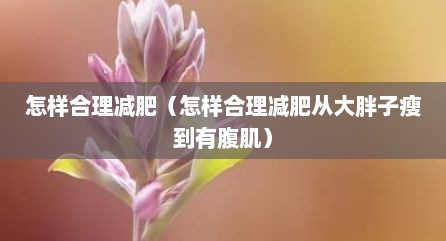 怎样合理减肥（怎样合理减肥从大胖子瘦到有腹肌）