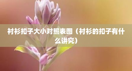 衬衫扣子大小对照表图（衬衫的扣子有什么讲究）