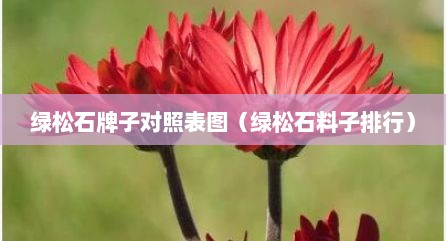 绿松石牌子对照表图（绿松石料子排行）