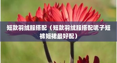 短款羽绒服搭配（短款羽绒服搭配呢子短裤短裙最好配）