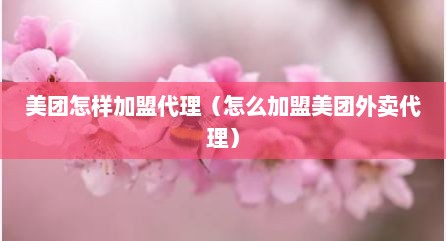 美团怎样加盟代理（怎么加盟美团外卖代理）