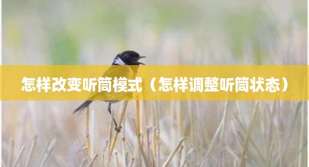 怎样改变听筒模式（怎样调整听筒状态）