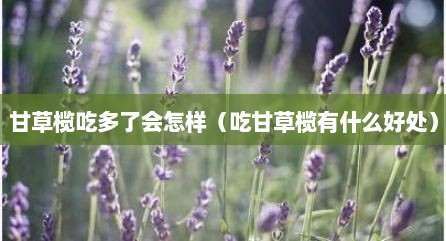 甘草榄吃多了会怎样（吃甘草榄有什么好处）