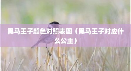 黑马王子颜色对照表图（黑马王子对应什么公主）