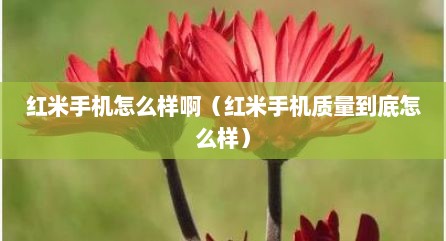 红米手机怎么样啊（红米手机质量到底怎么样）