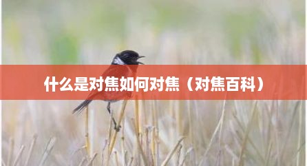 什么是对焦如何对焦（对焦百科）