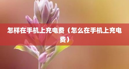 怎样在手机上充电费（怎么在手机上充电费）