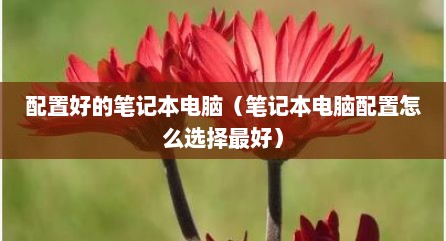 配置好的笔记本电脑（笔记本电脑配置怎么选择最好）
