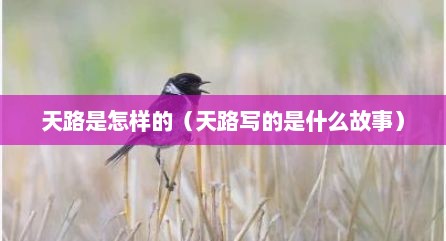 天路是怎样的（天路写的是什么故事）