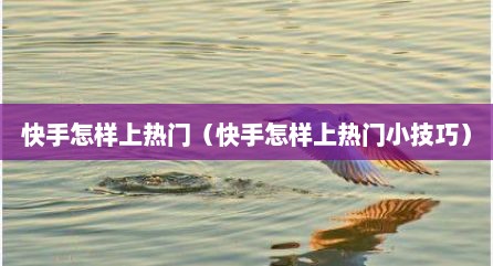 快手怎样上热门（快手怎样上热门小技巧）