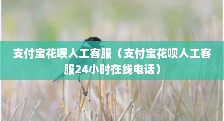 支付宝花呗人工客服（支付宝花呗人工客服24小时在线电话）