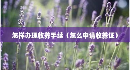 怎样办理收养手续（怎么申请收养证）