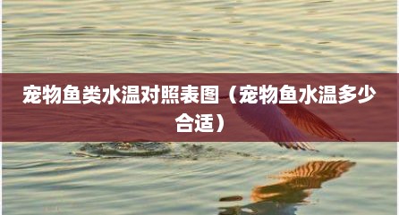 宠物鱼类水温对照表图（宠物鱼水温多少合适）