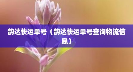 韵达快运单号（韵达快运单号查询物流信息）