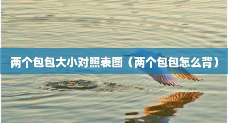 两个包包大小对照表图（两个包包怎么背）