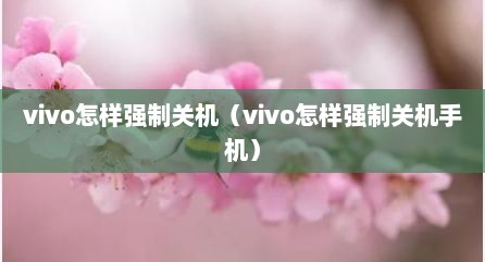 vivo怎样强制关机（vivo怎样强制关机手机）