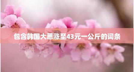 包含韩国大葱涨至43元一公斤的词条