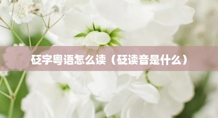 砭字粤语怎么读（砭读音是什么）