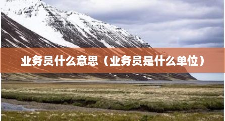 业务员什么意思（业务员是什么单位）