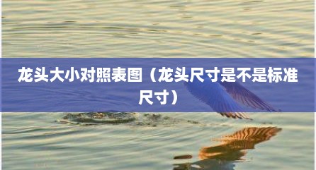 龙头大小对照表图（龙头尺寸是不是标准尺寸）