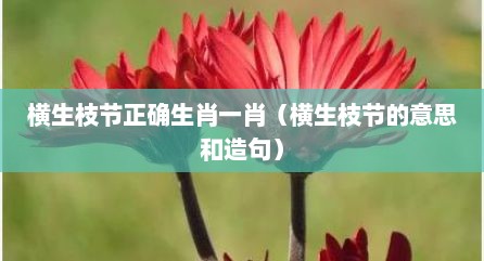 横生枝节正确生肖一肖（横生枝节的意思和造句）