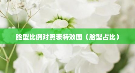 脸型比例对照表特效图（脸型占比）